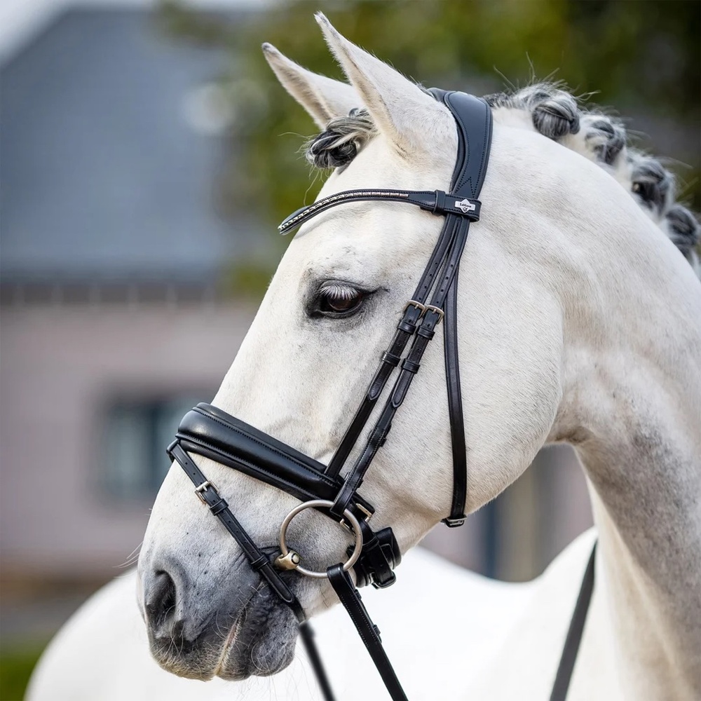 LeMieux Dressage Bridle Black Flash Noseband Clincher Broadband Pony Size